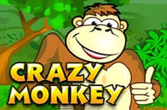 Crazy Monkey
